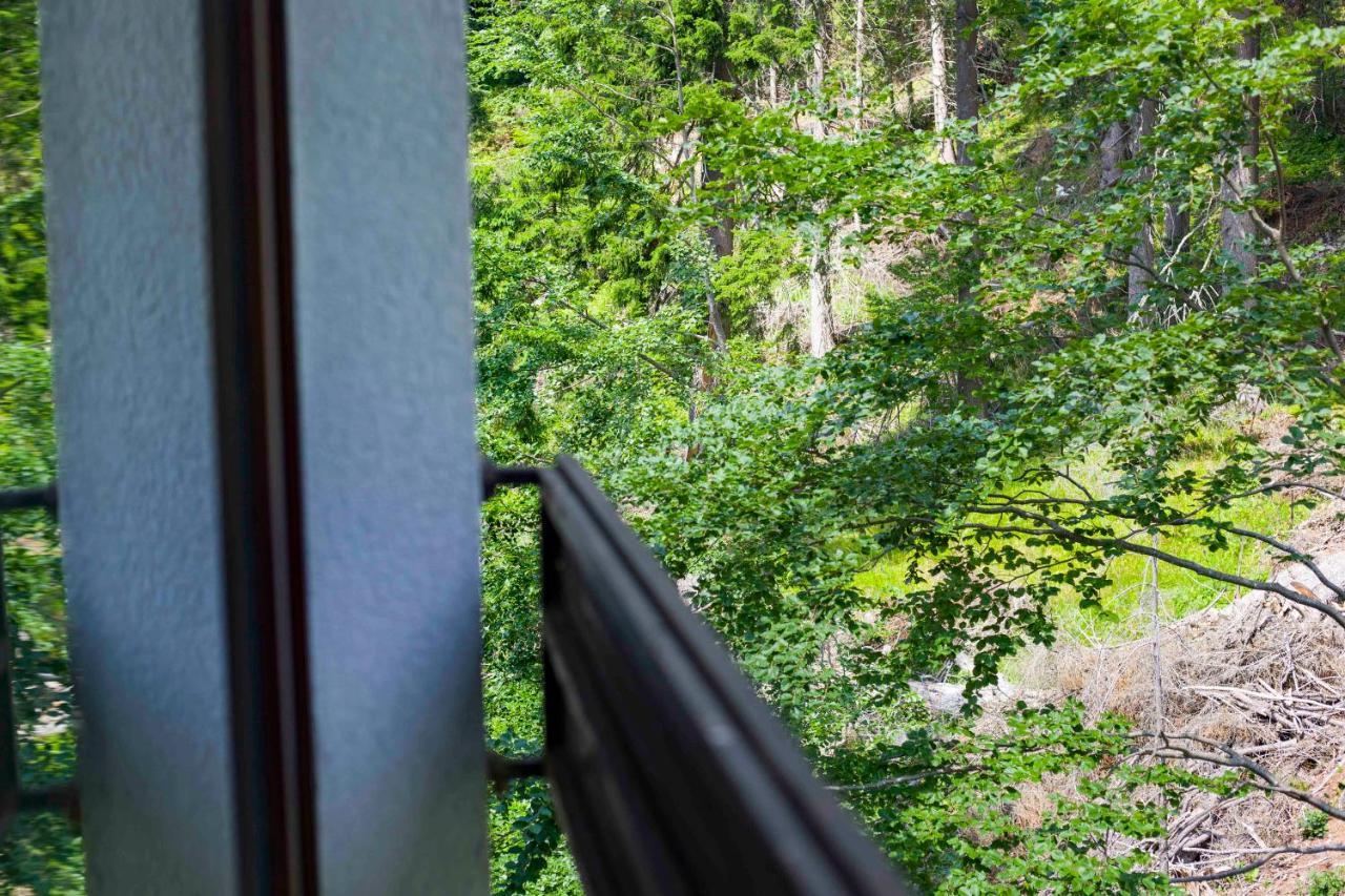 Forest Dream Apartment - Elit Pamporovo Exteriér fotografie