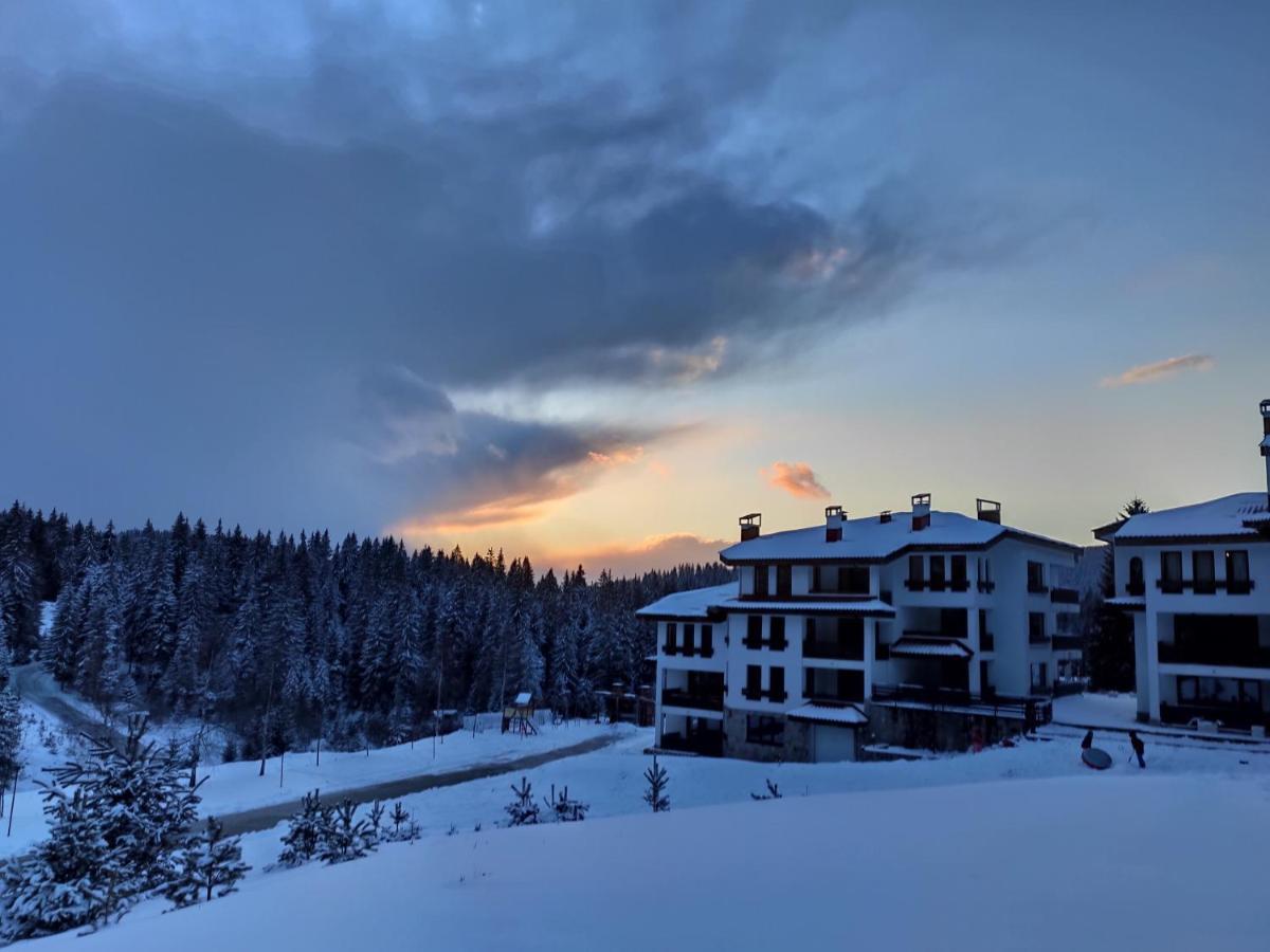 Forest Dream Apartment - Elit Pamporovo Exteriér fotografie