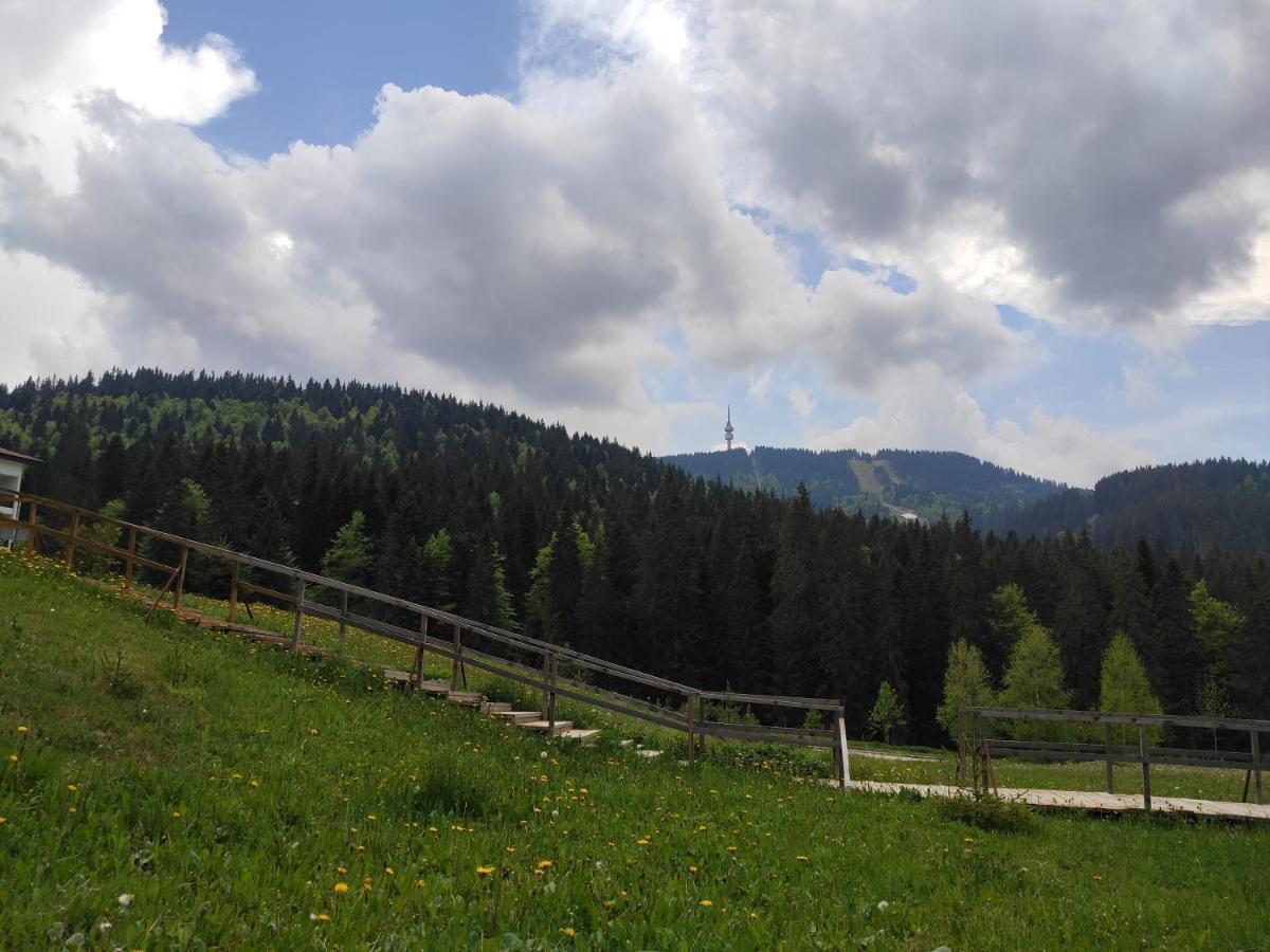 Forest Dream Apartment - Elit Pamporovo Exteriér fotografie