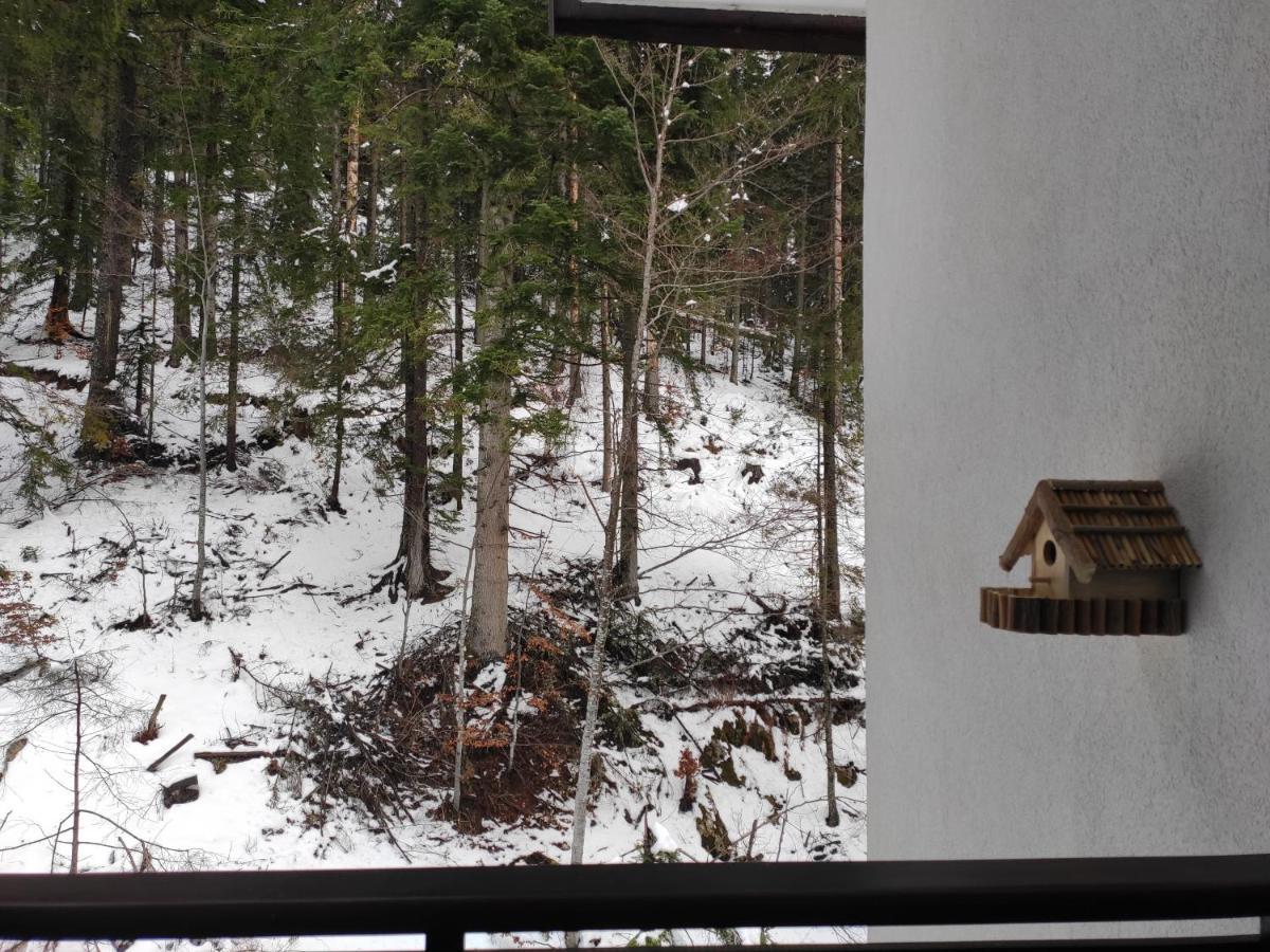 Forest Dream Apartment - Elit Pamporovo Exteriér fotografie