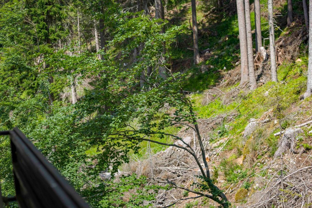 Forest Dream Apartment - Elit Pamporovo Exteriér fotografie