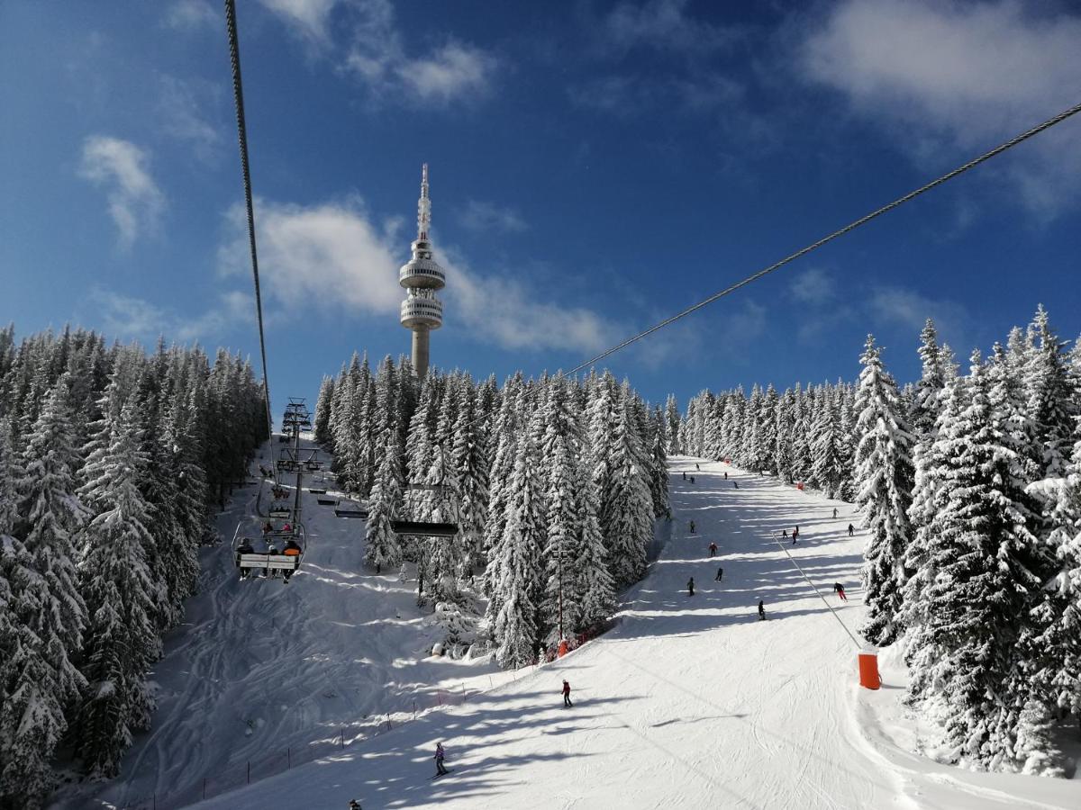Forest Dream Apartment - Elit Pamporovo Exteriér fotografie